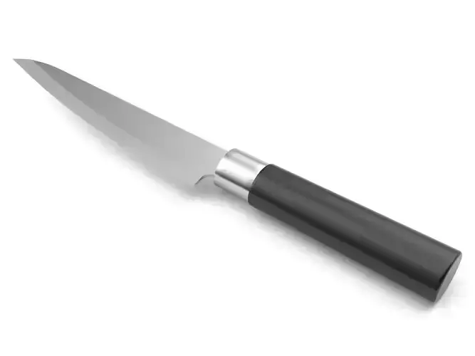 Kitchen knife 17