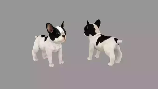 Cartoon pet puppy - French Bull Dog - baby dog  Low-poly 3D model
