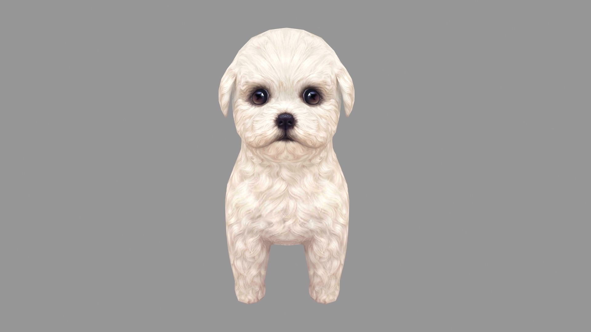 Cartoon pet puppy - Bichon - baby dog Low-poly 3D model_4