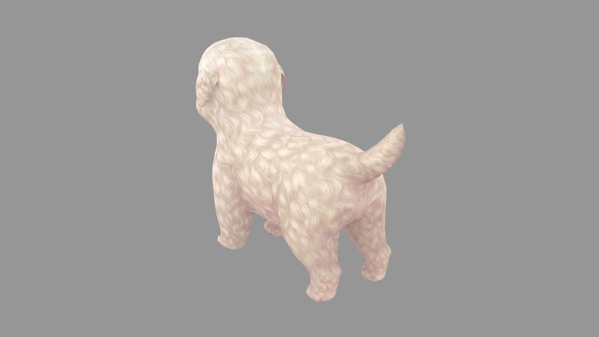 Cartoon pet puppy - Bichon - baby dog Low-poly 3D model_3