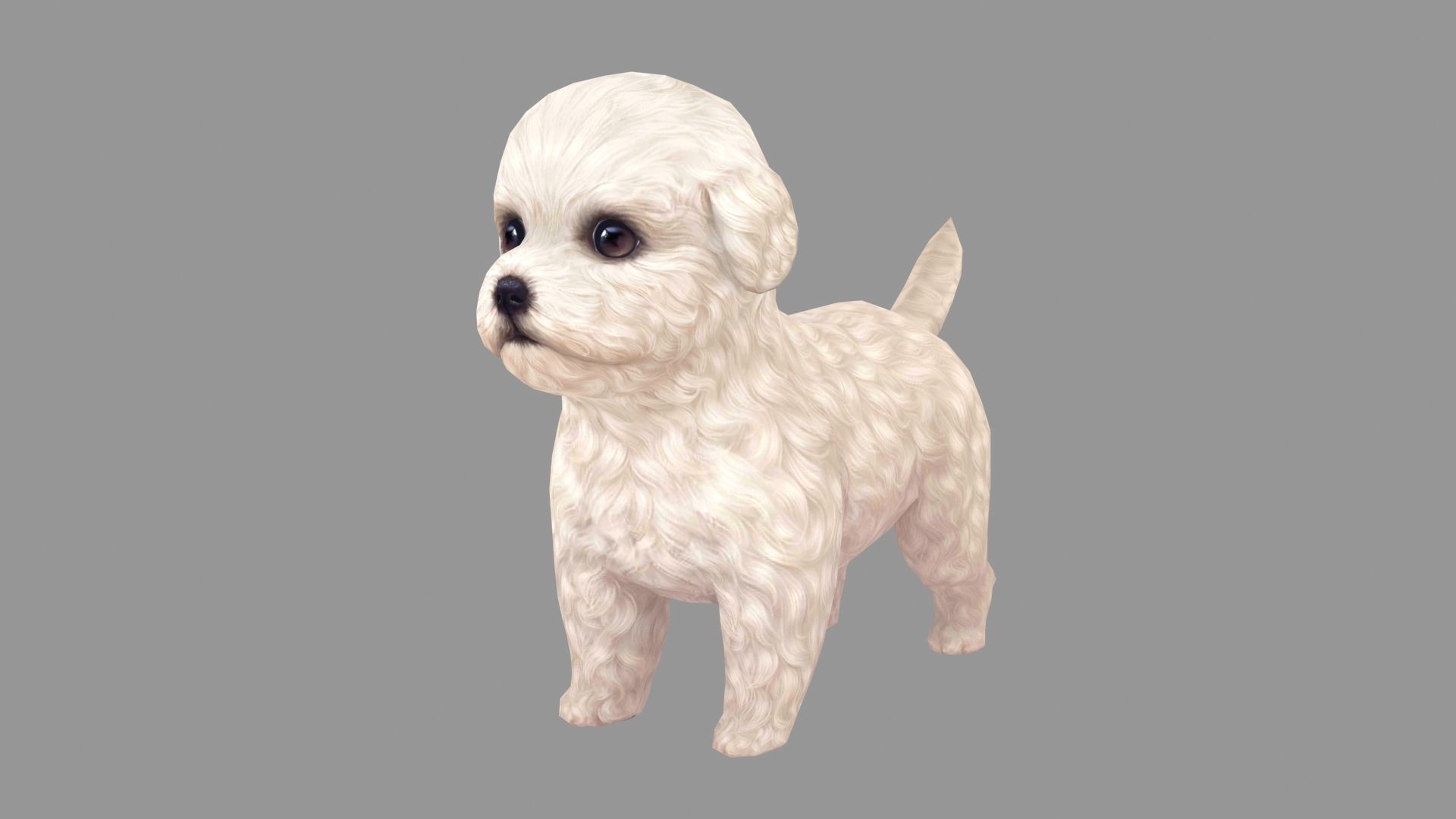 Cartoon pet puppy - Bichon - baby dog Low-poly 3D model_1