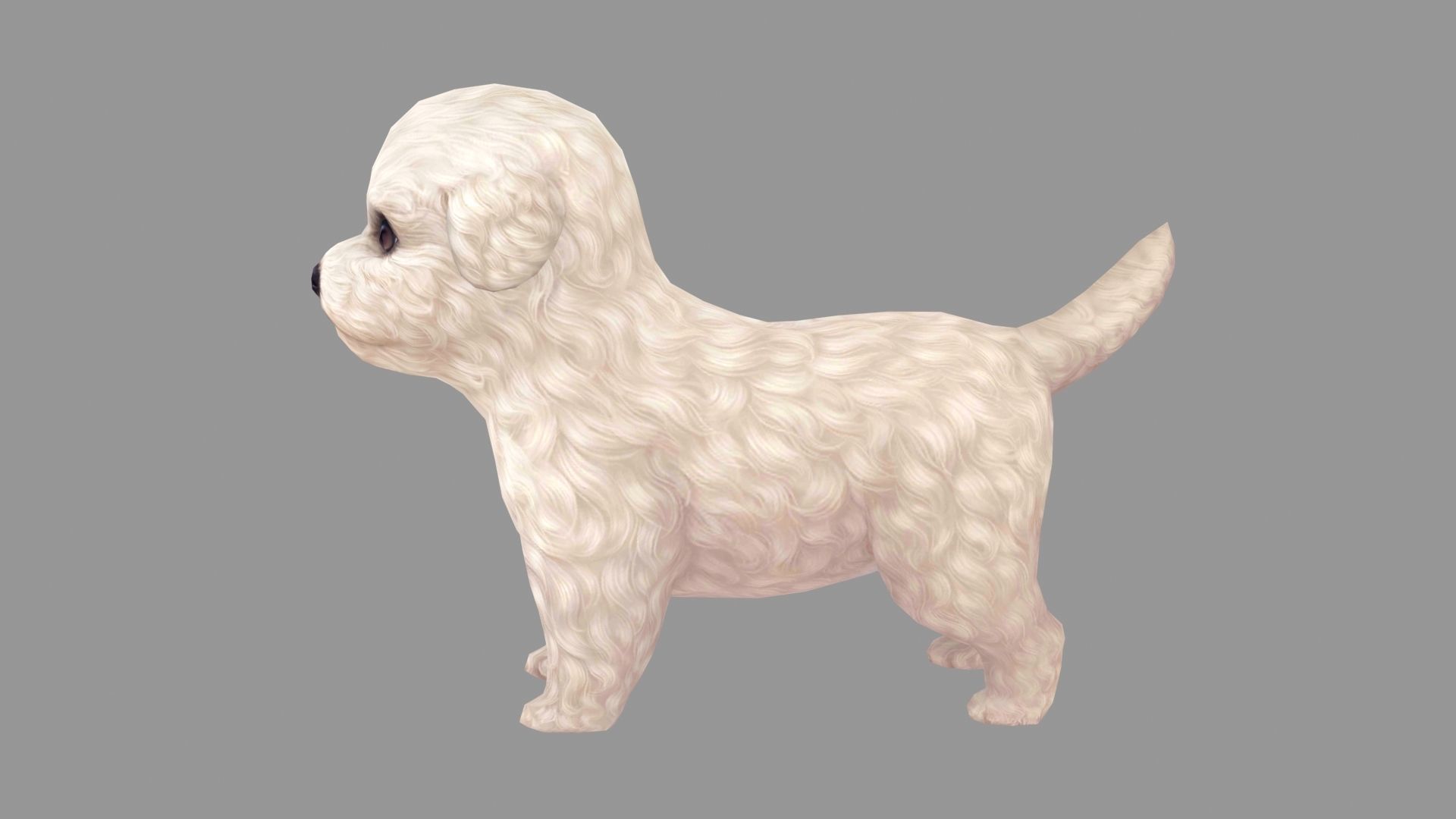 Cartoon pet puppy - Bichon - baby dog Low-poly 3D model_2