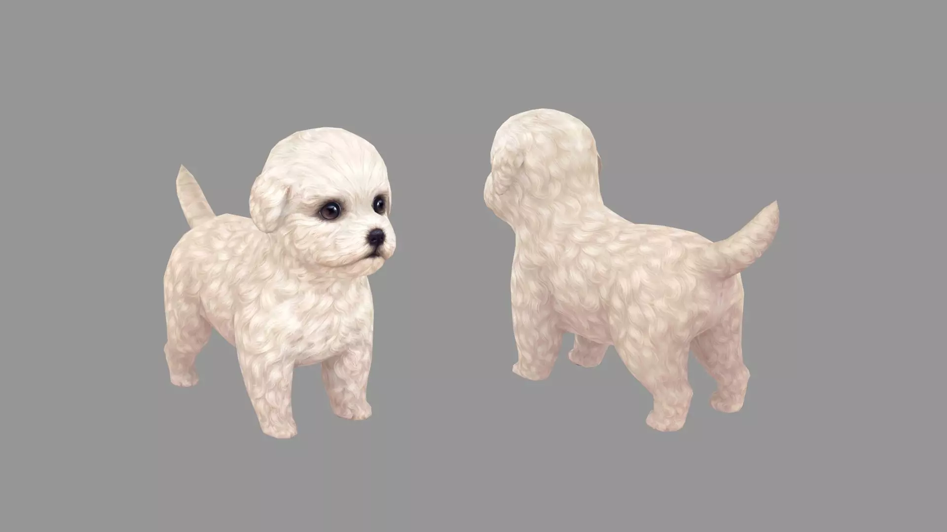 Cartoon pet puppy - Bichon - baby dog Low-poly 3D model_0
