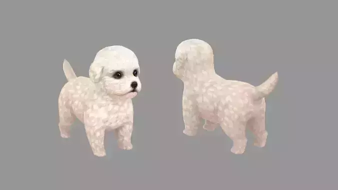 Cartoon pet puppy - Bichon - baby dog Low-poly 3D model