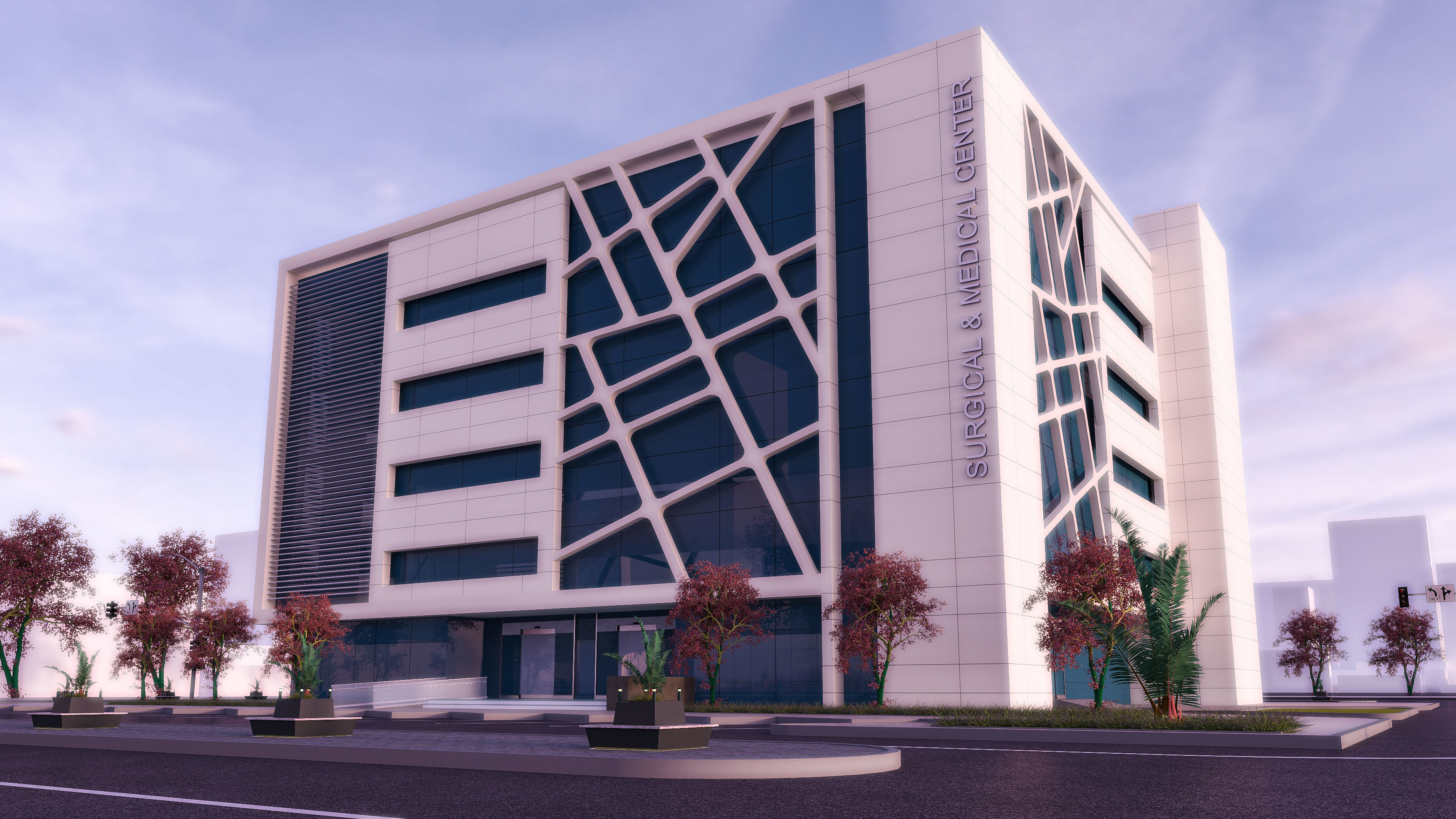 Medical Center-Complete Project -2d Plans - 3d Model Set 3D Model Collection_2