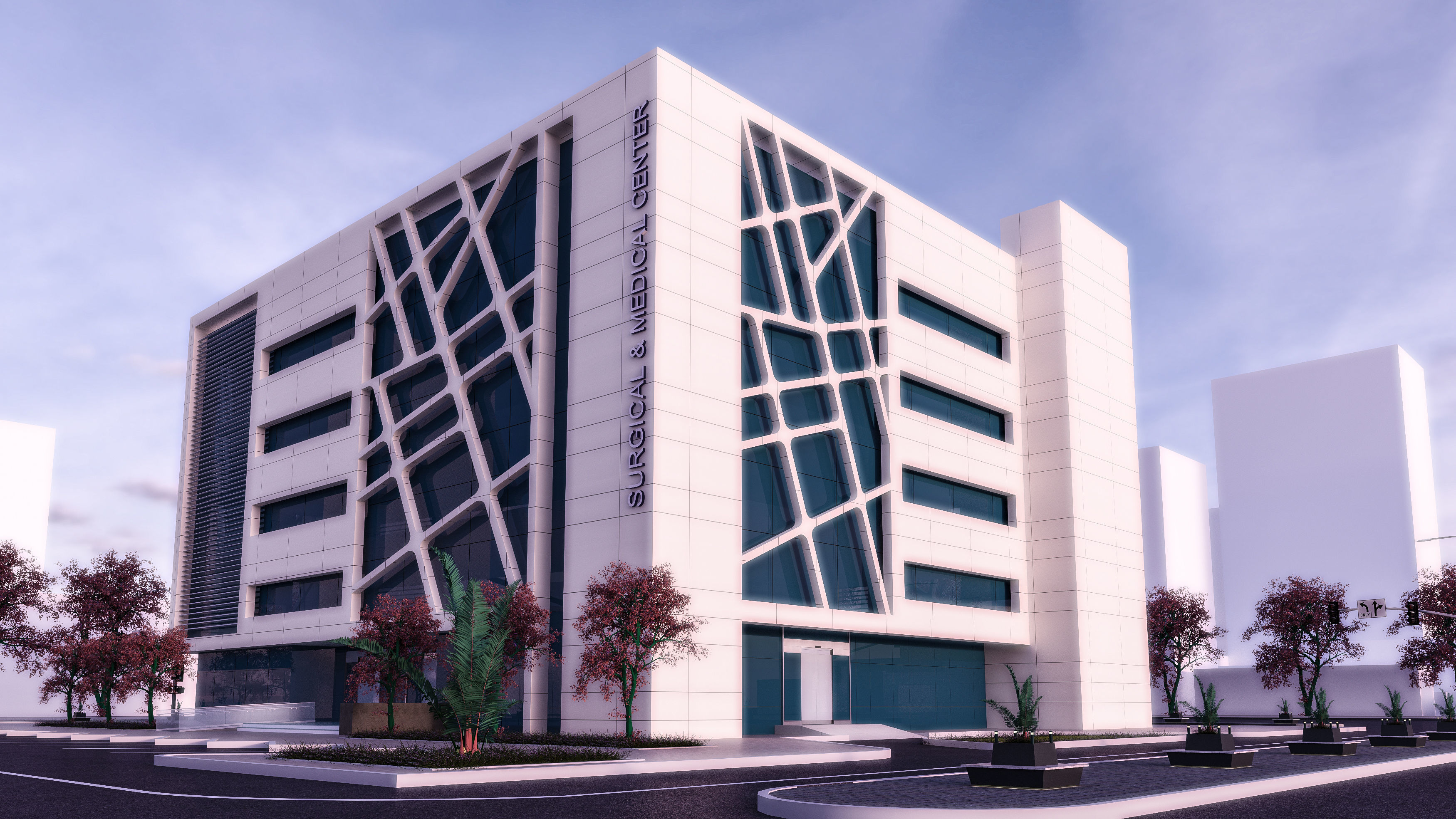 Medical Center-Complete Project -2d Plans - 3d Model Set 3D Model Collection_1