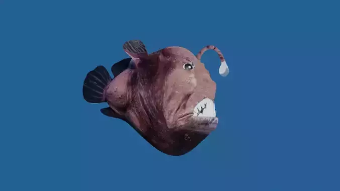 angler fish 3D model