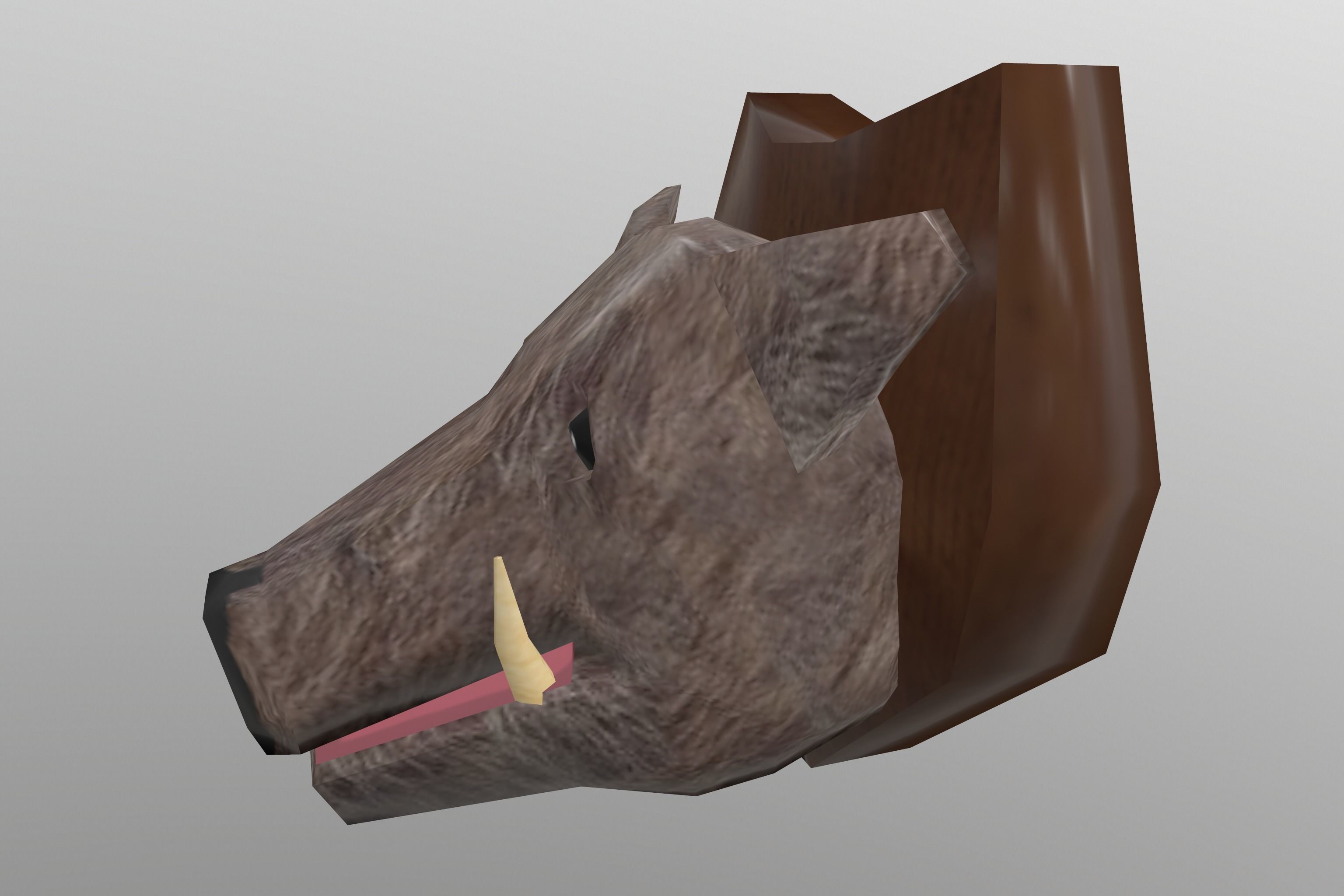 Boar Head 3D model_1