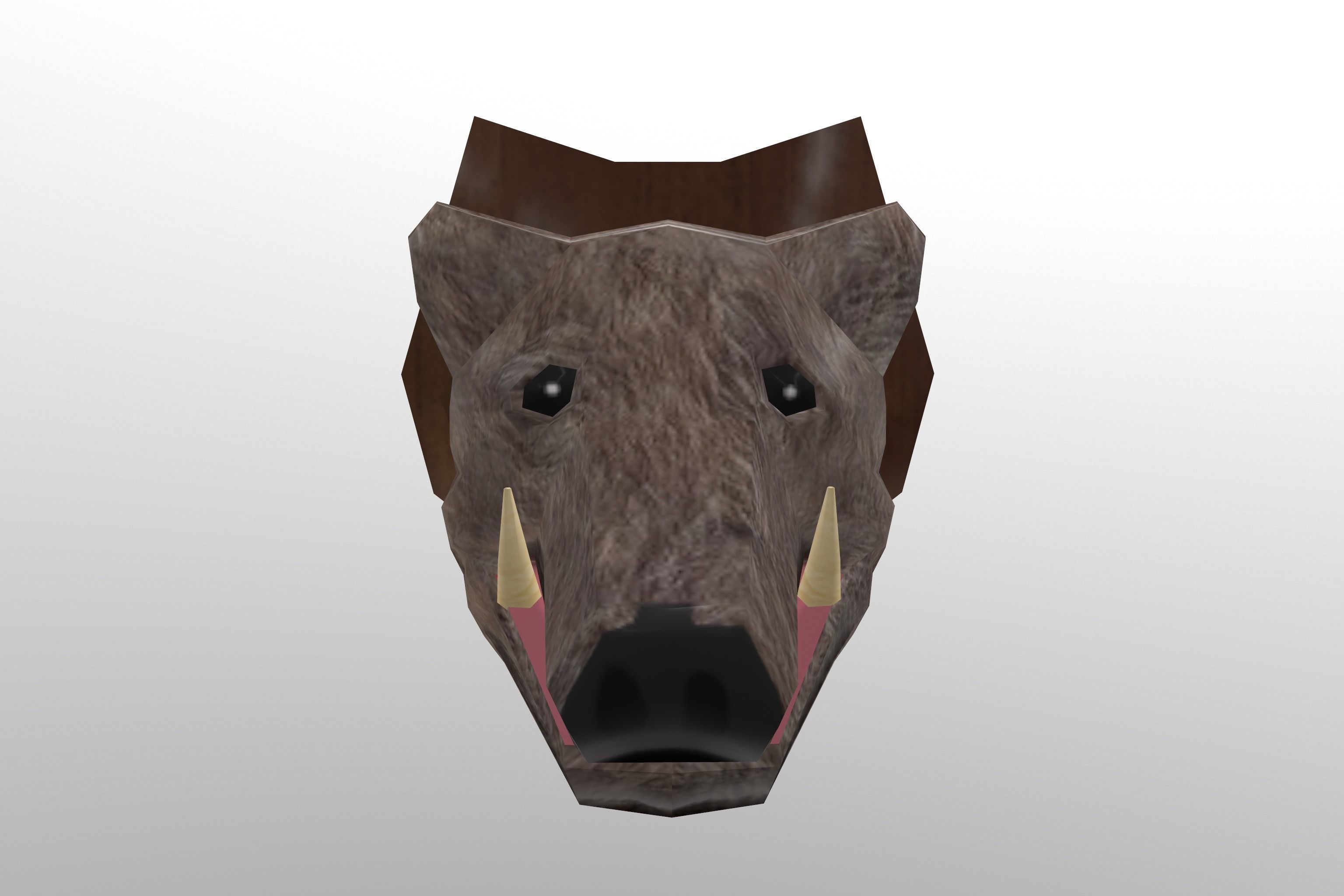 Boar Head 3D model_7