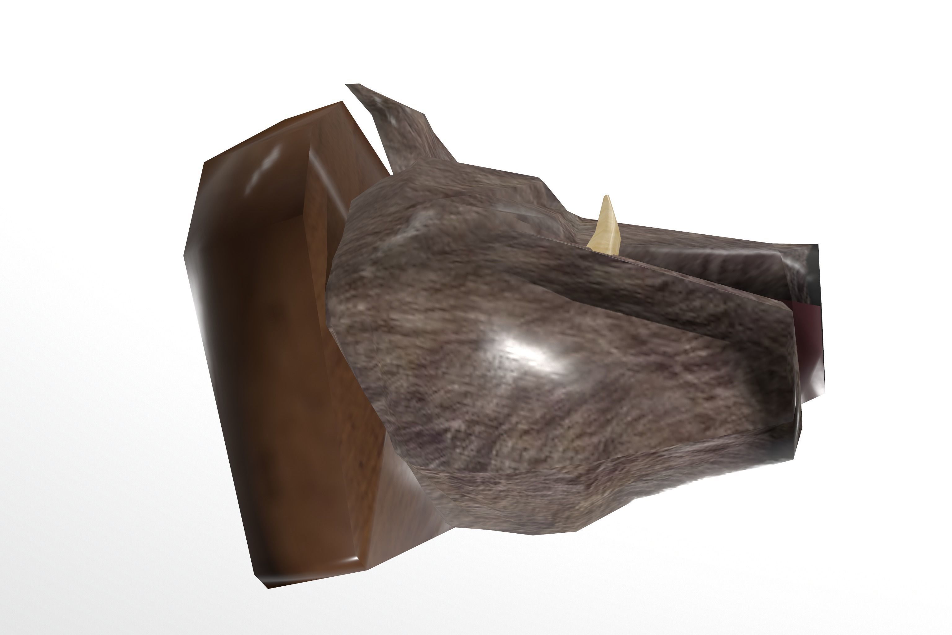 Boar Head 3D model_6