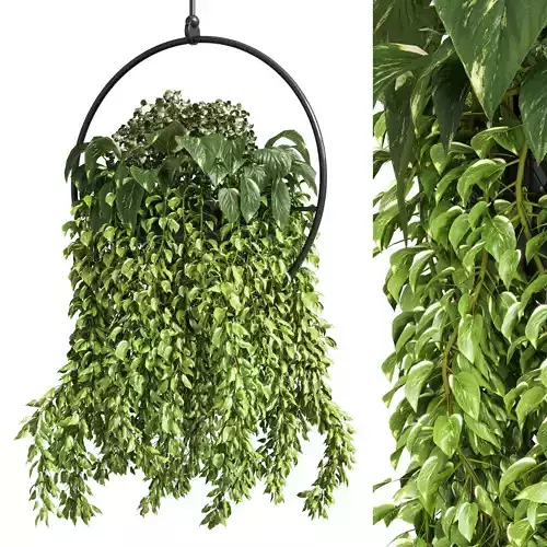 Indoor plants hanging pot-metal vase 03