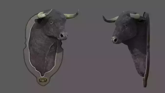 Spanish bull head trophy