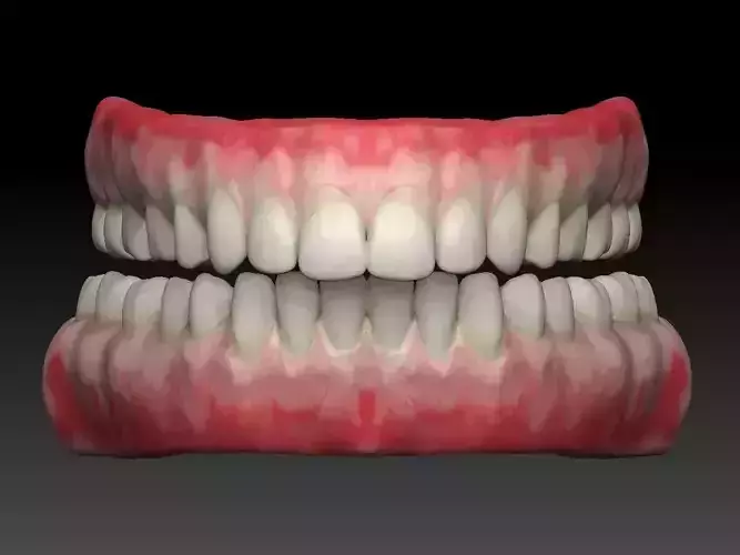 tooth human mouth with teeth and gums