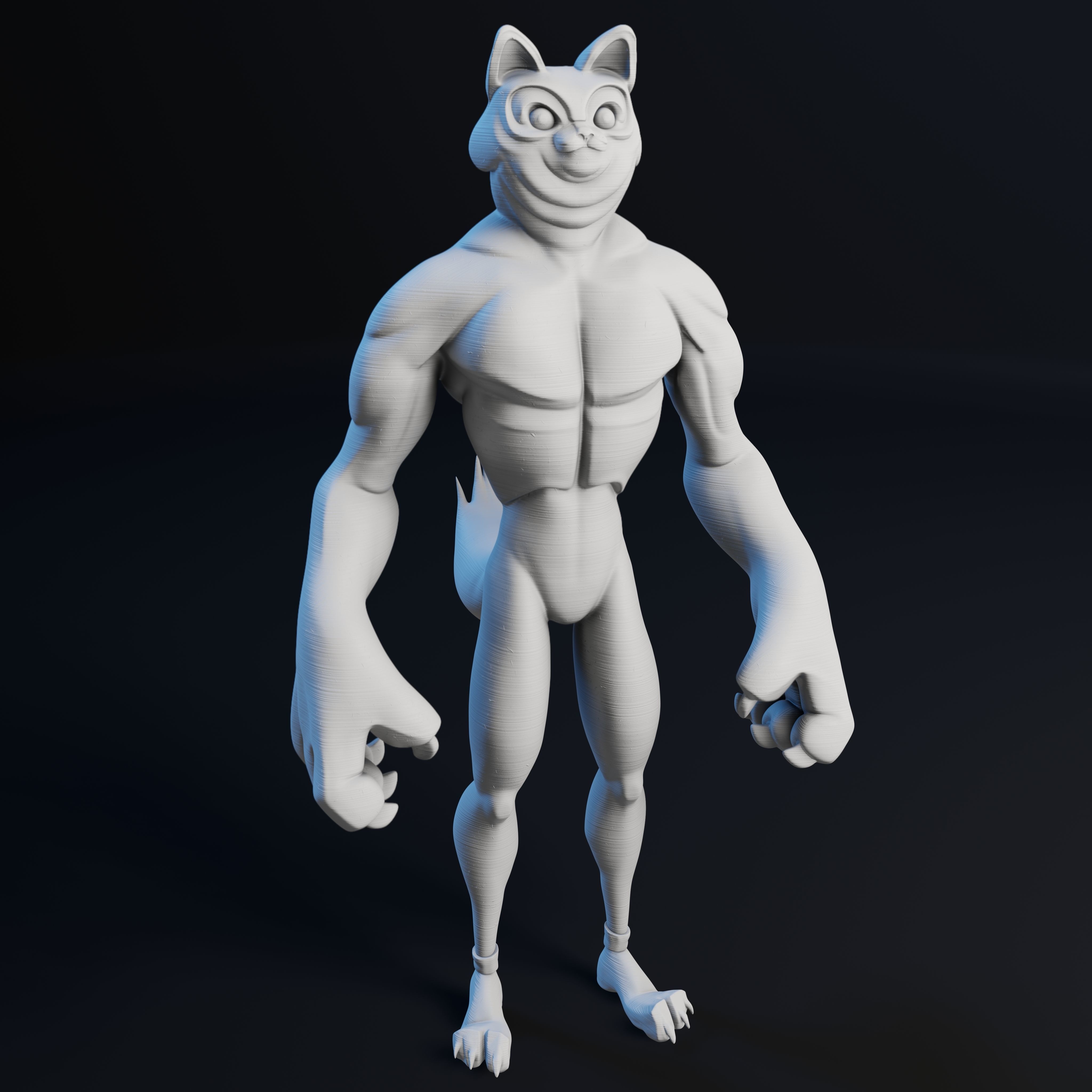 Kitty Cat Dude - 3D Print Model 3D print model_38