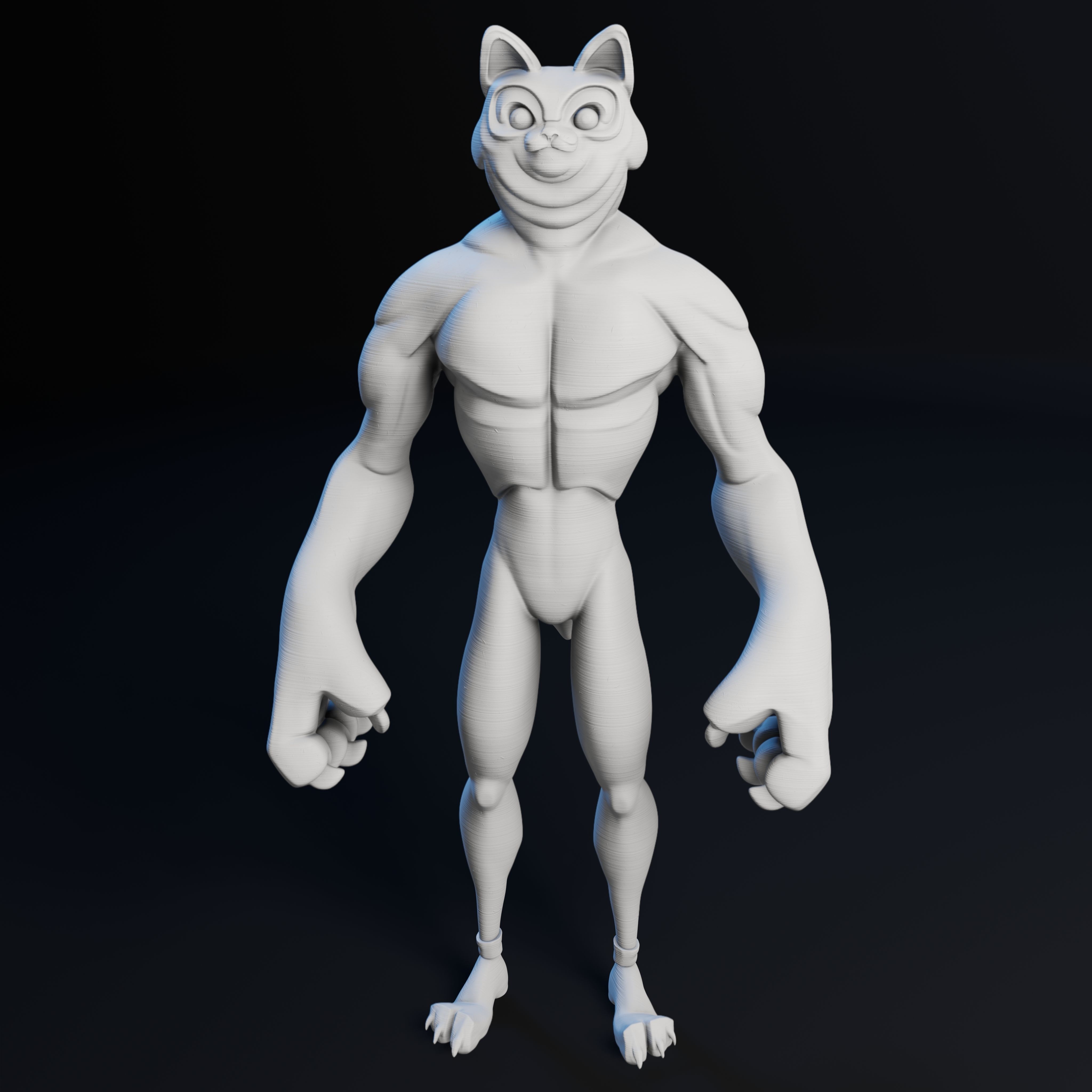 Kitty Cat Dude - 3D Print Model 3D print model_20