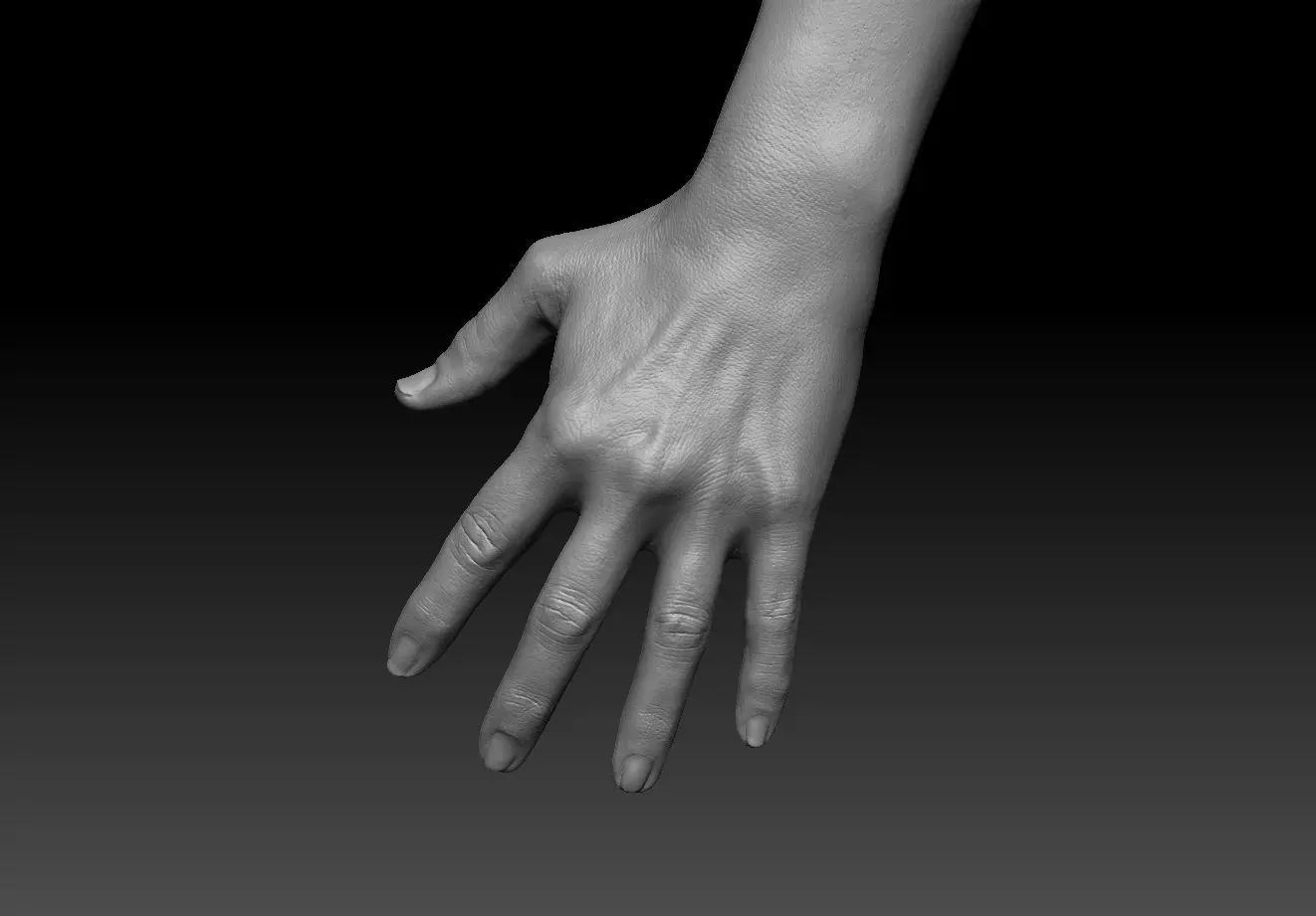 femalehand hand 3D model