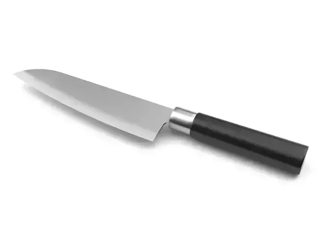 Kitchen knife 18