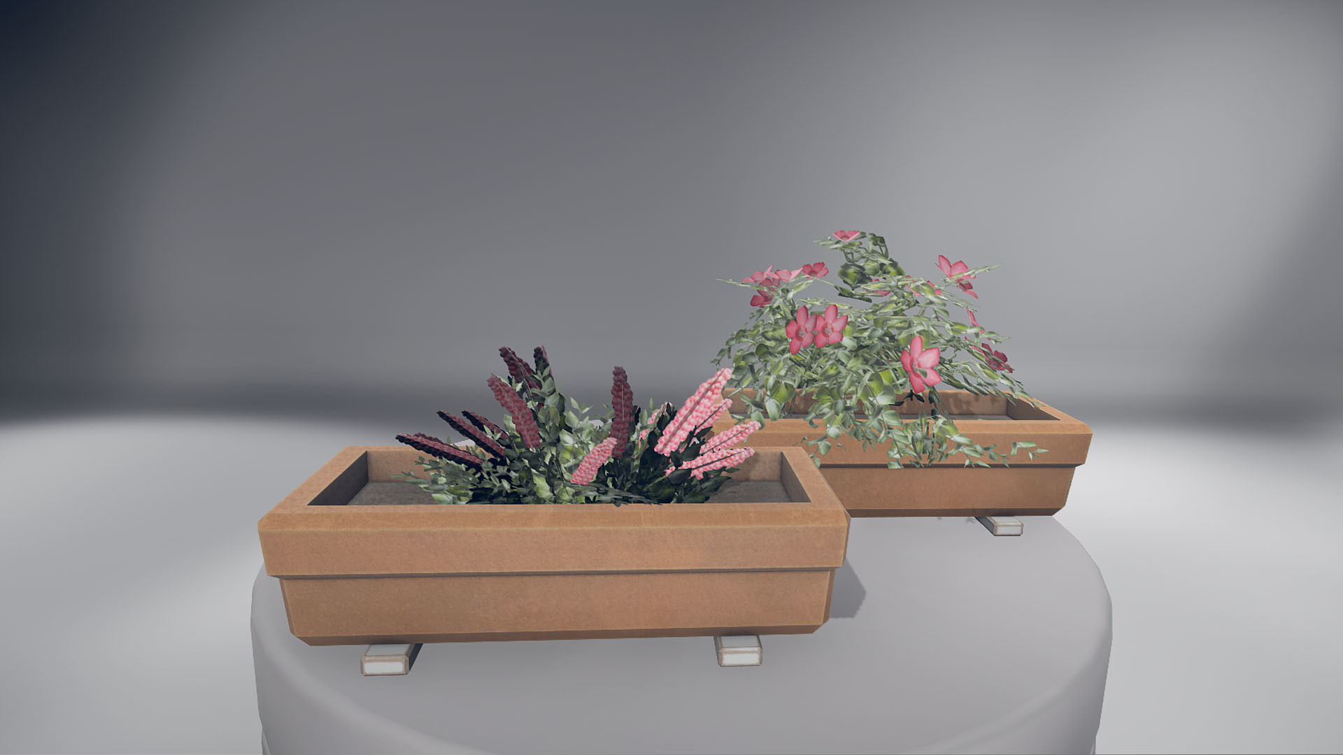 Flowers two planters Low-poly 3D model_6