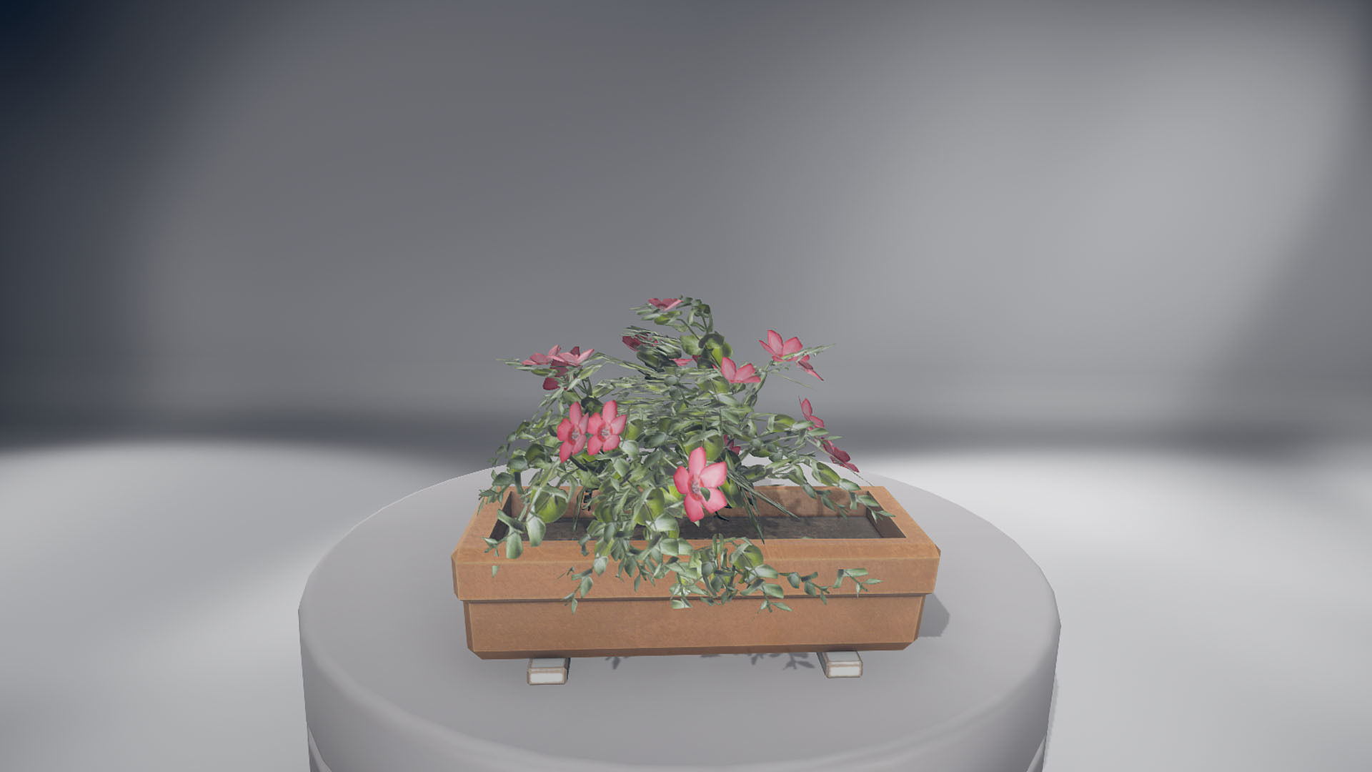 Flowers two planters Low-poly 3D model_10