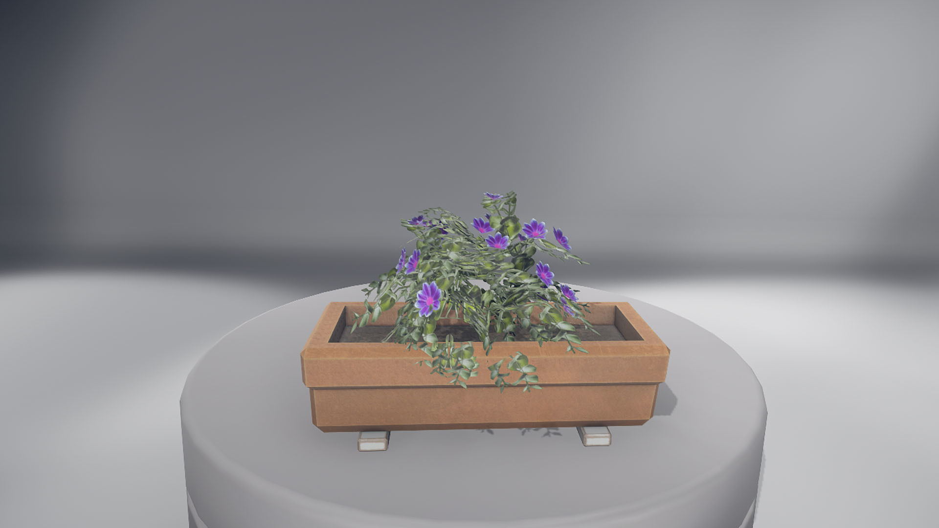 Flowers two planters Low-poly 3D model_1