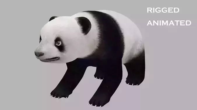 animated panda Low-poly 3D model