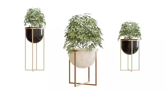 3d Eden-Plants plant stand with three potted plants