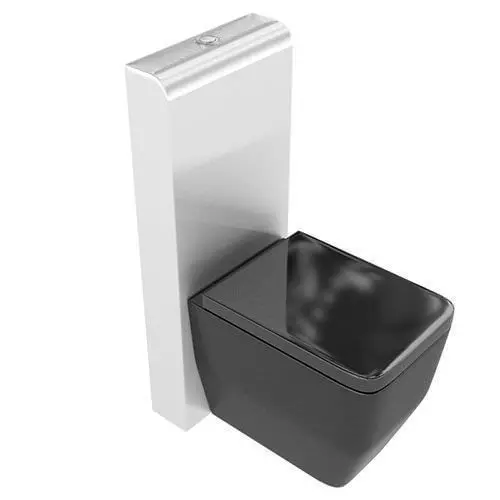 Modern Black Toilet Bowl With Metallic Support 3D model