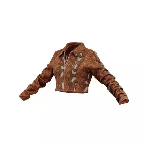 Brown Snake Jacket 3D model