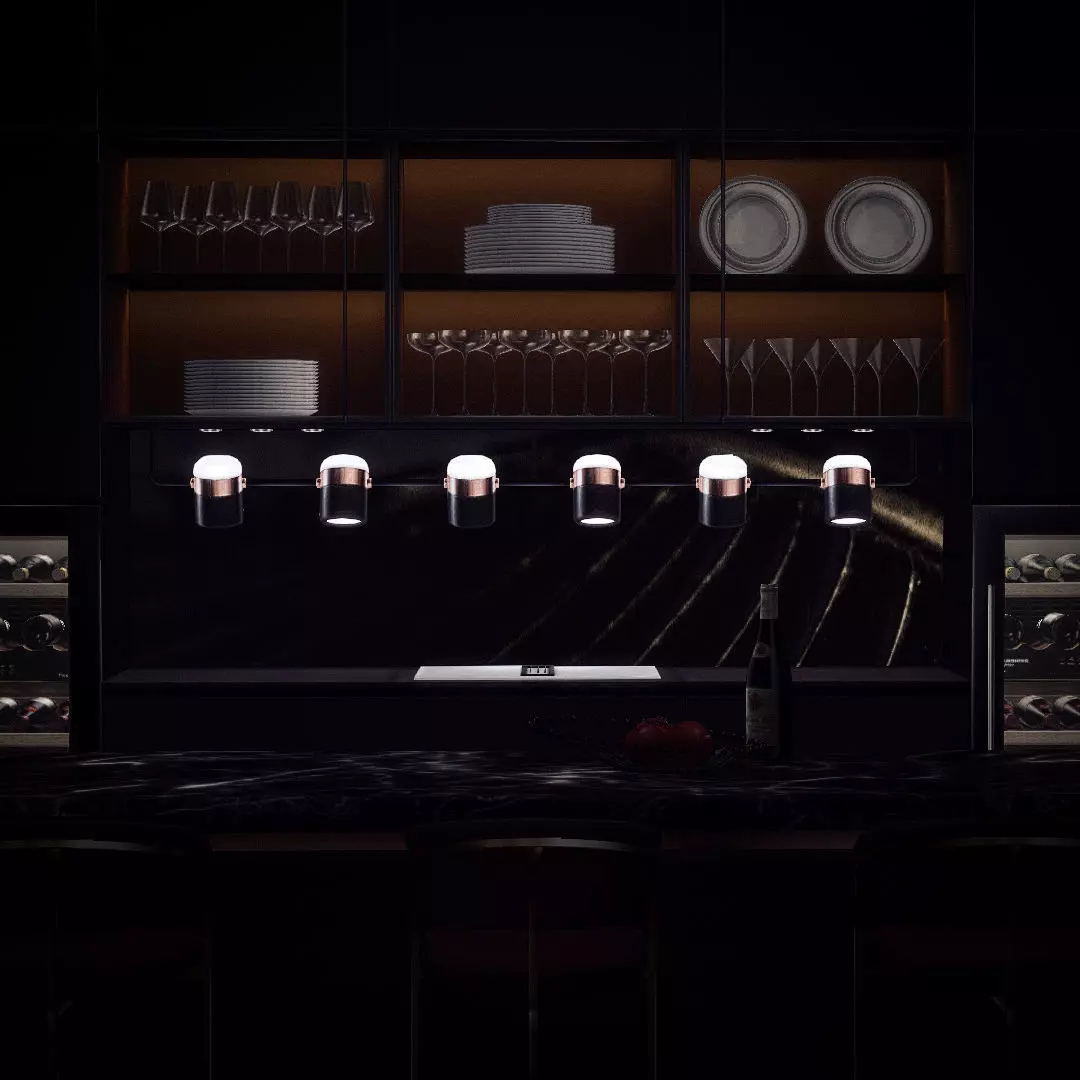 Ling PL6 Linear Suspension Low-poly 3D model_0