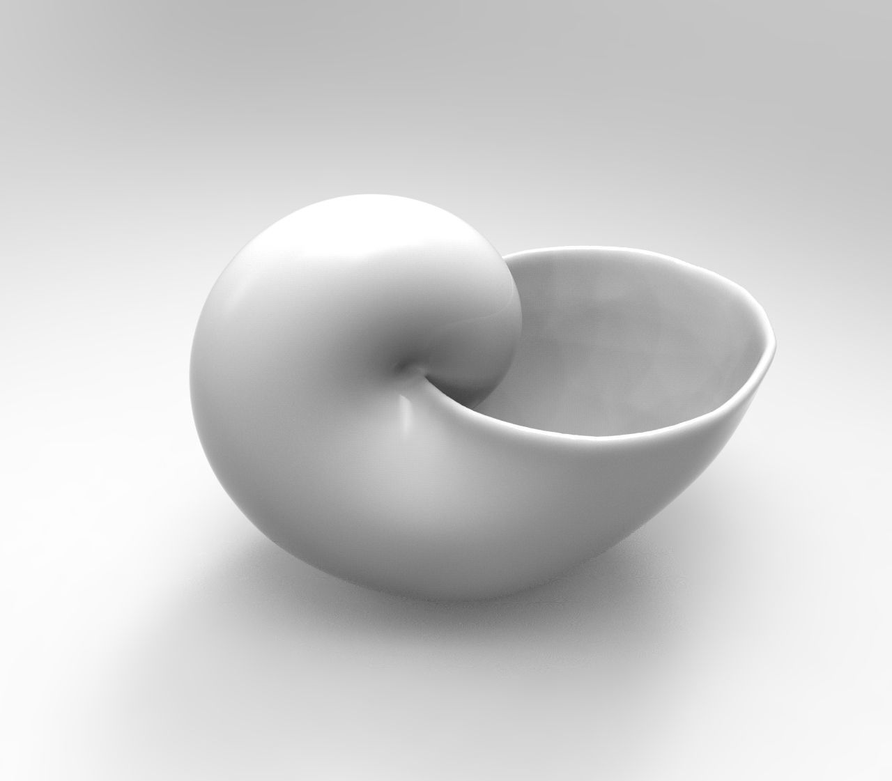 Clam Geometric Plant 3D Printing Planter  3D print model_1