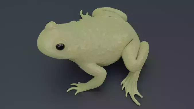 Bombina Variegata Fire-bellied mountain toad frog 3d printing 