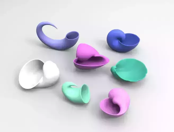 7 Shell Geometric Planter for 3D Printing 3D Model Collection