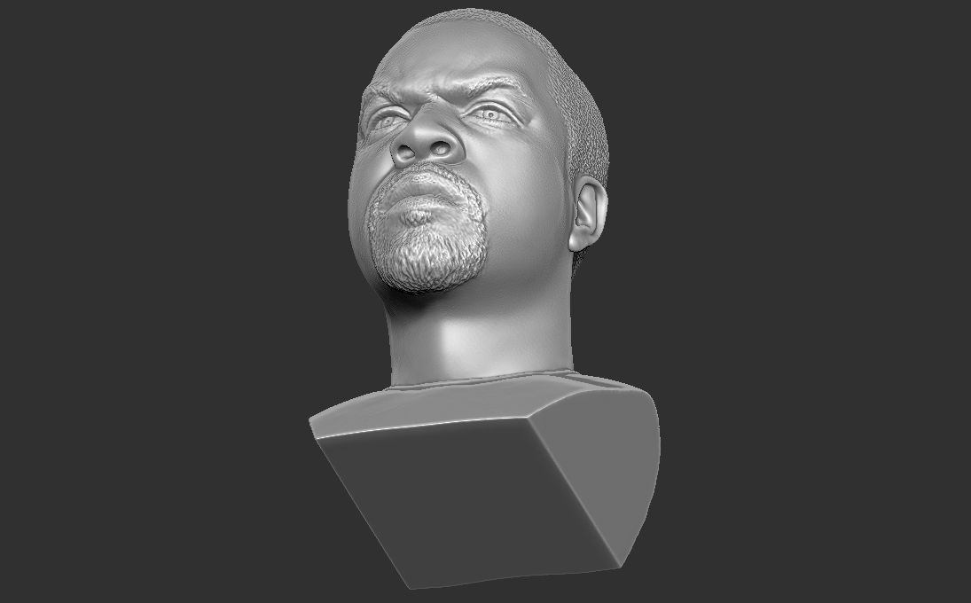 Ice Cube bust 3D printing ready stl obj formats 3D print model_28