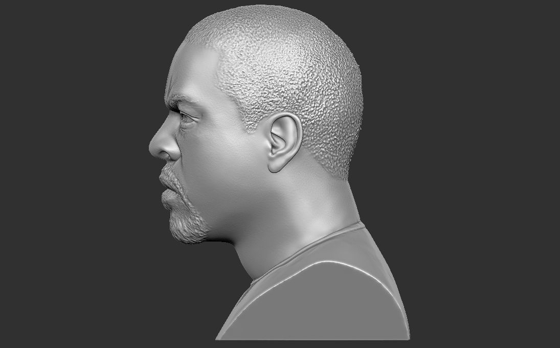 Ice Cube bust 3D printing ready stl obj formats 3D print model_9