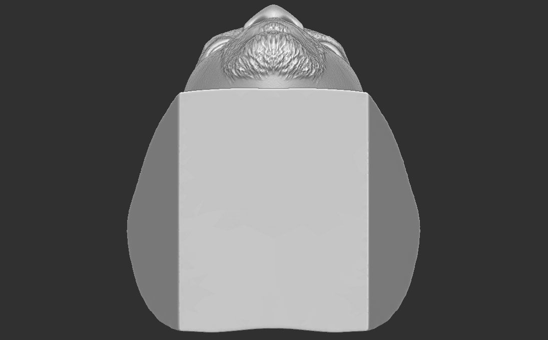 Ice Cube bust 3D printing ready stl obj formats 3D print model_29