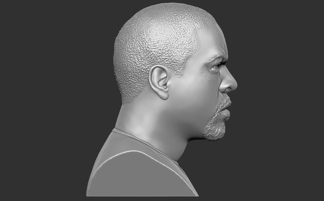 Ice Cube bust 3D printing ready stl obj formats 3D print model_13