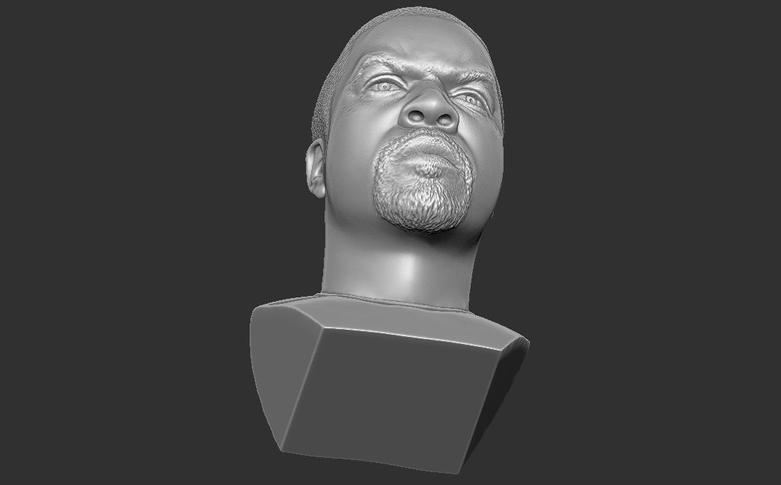 Ice Cube bust 3D printing ready stl obj formats 3D print model_27