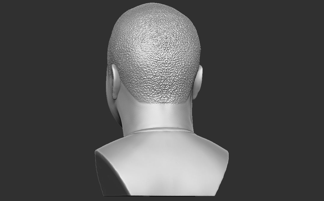 Ice Cube bust 3D printing ready stl obj formats 3D print model_10