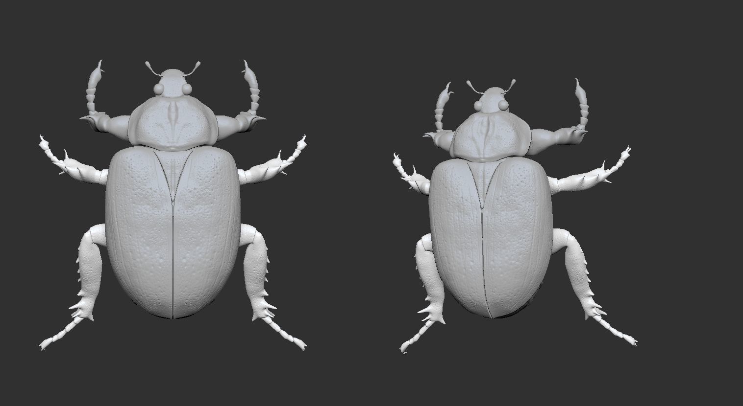 Insect Beetle STL 3D print model_1