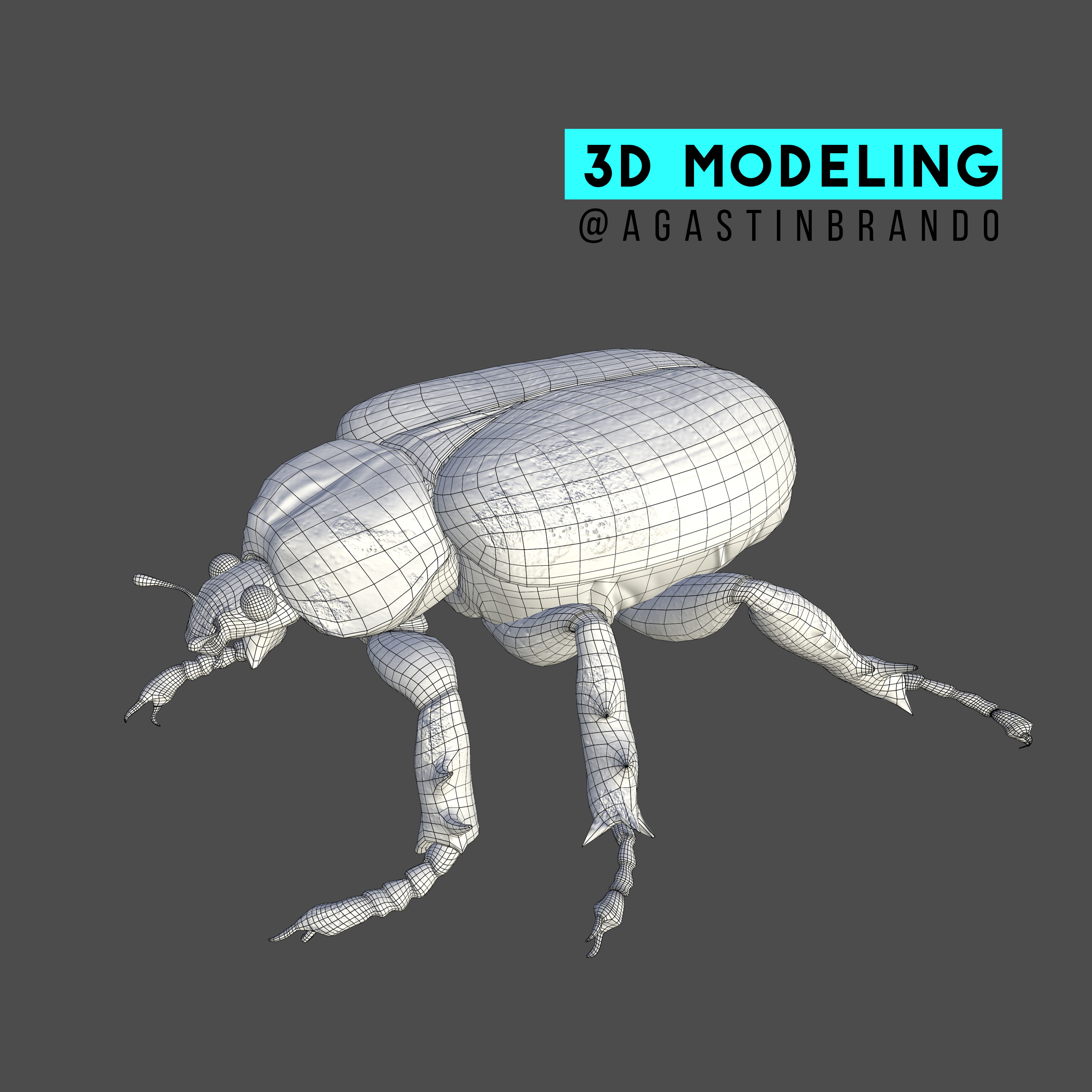 Insect Beetle STL 3D print model_5