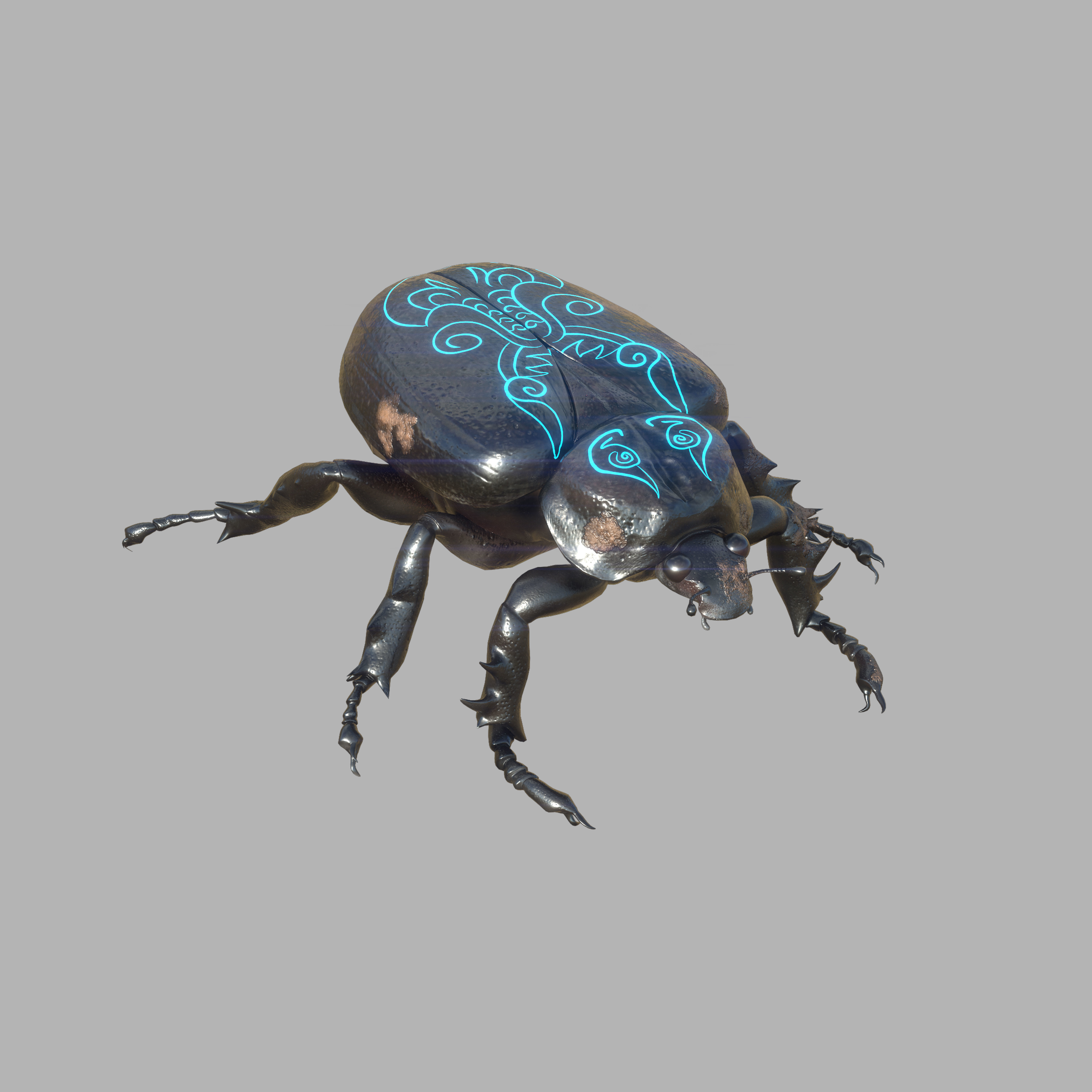 Insect Beetle STL 3D print model_4