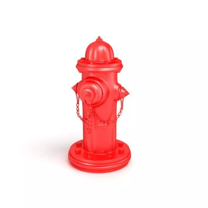 Red Fire Hydrant 3D model_0
