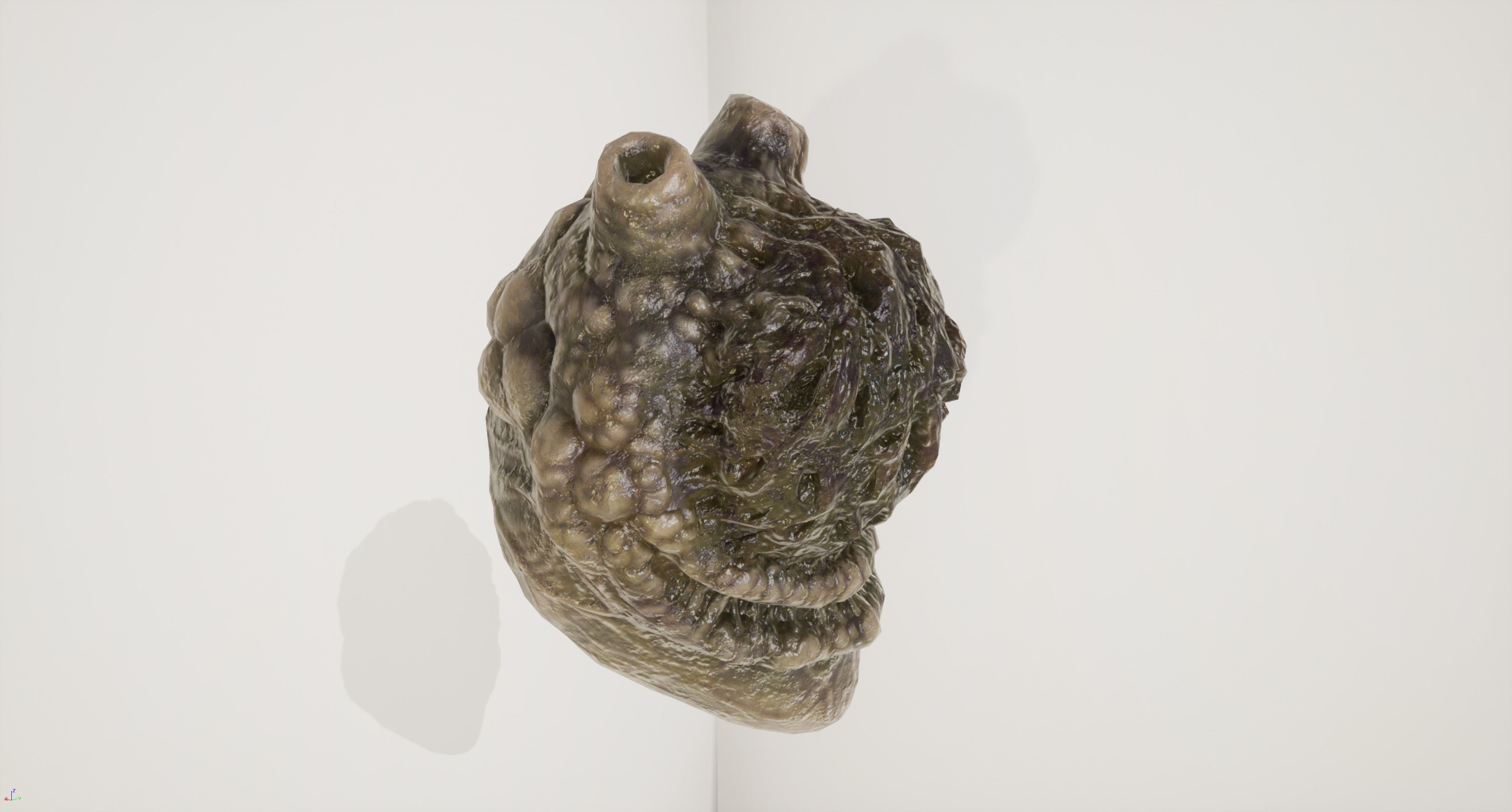 Alien Organ Free low-poly 3D model_3