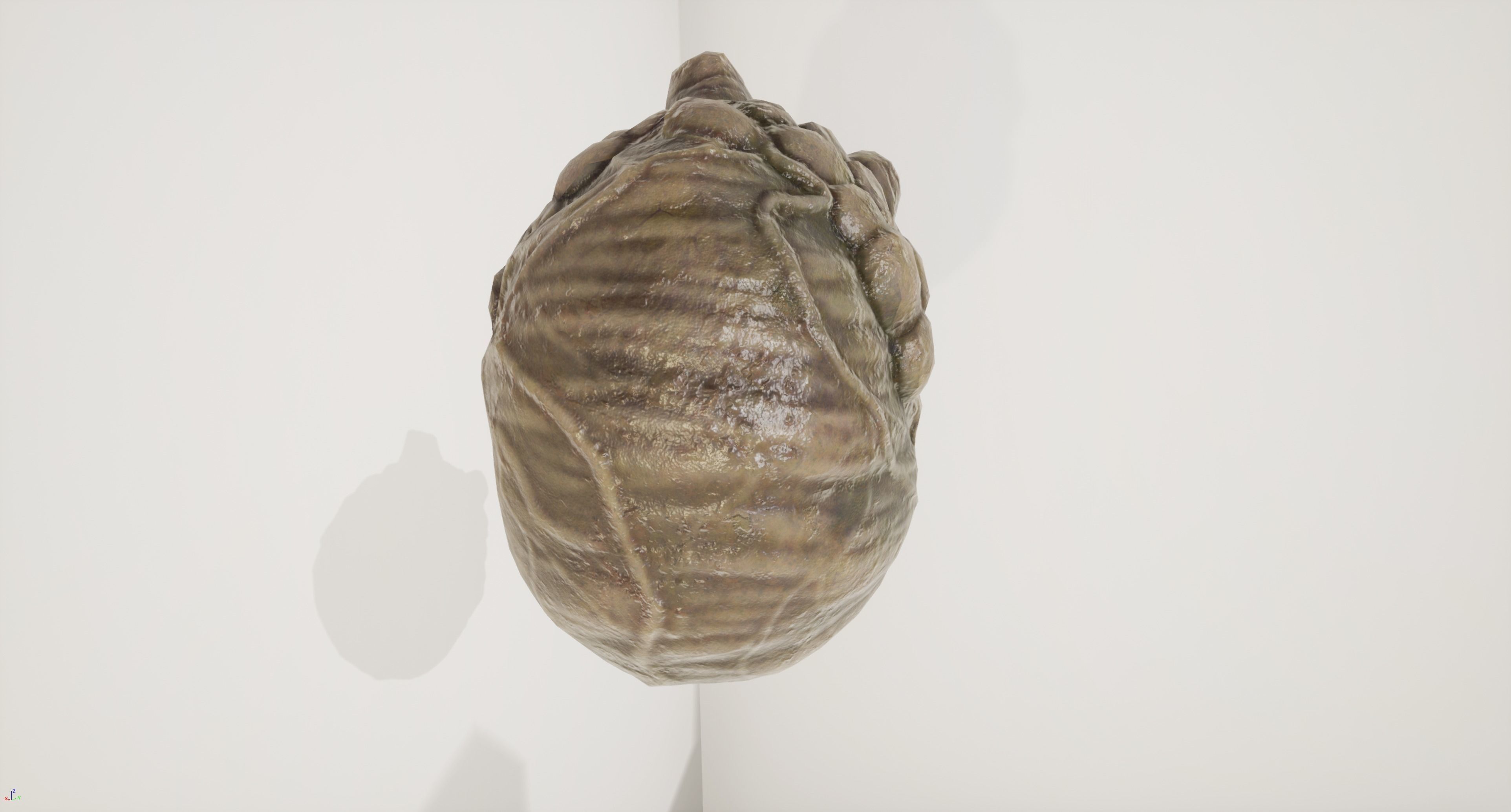 Alien Organ Free low-poly 3D model_4