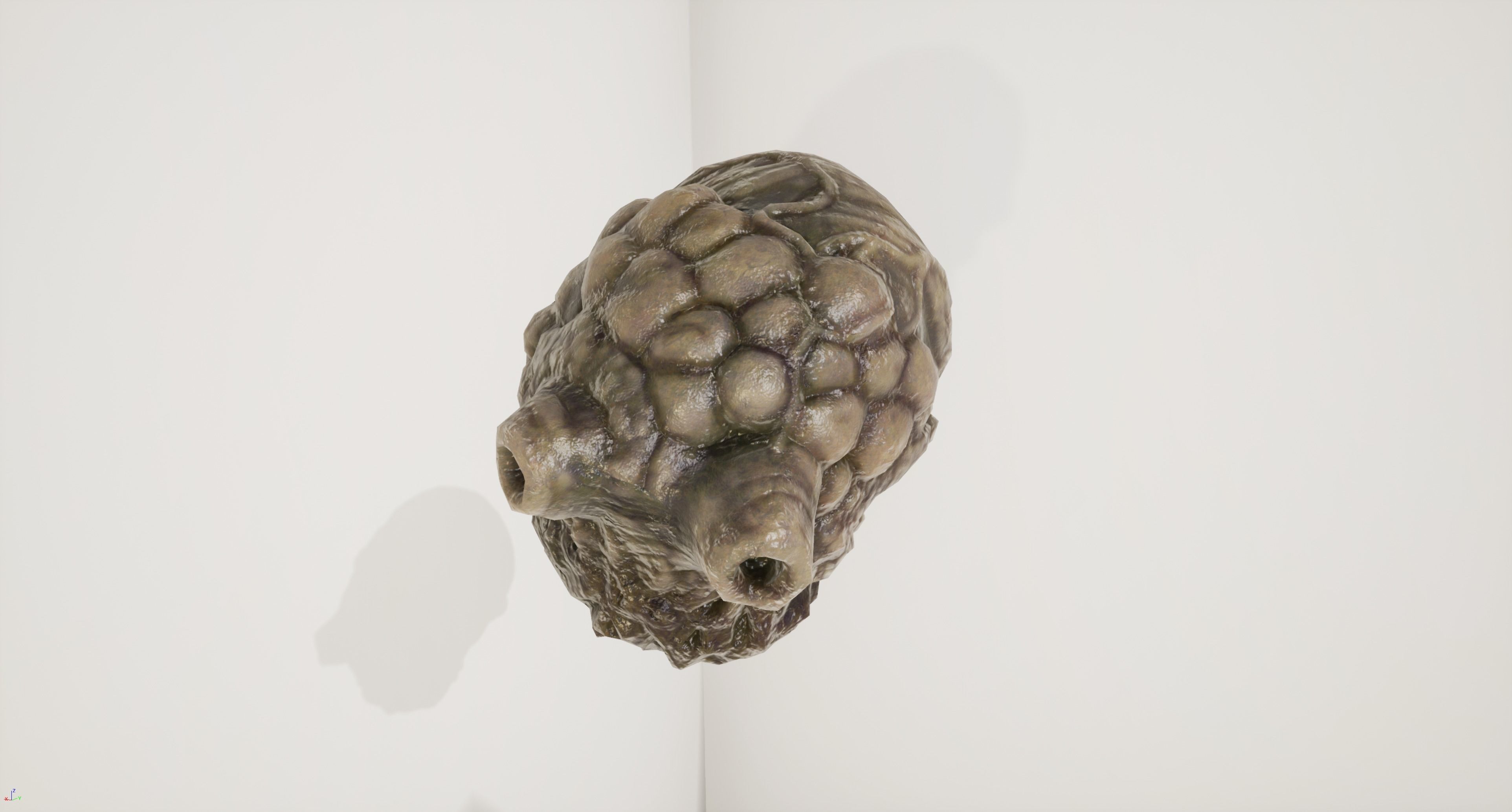 Alien Organ Free low-poly 3D model_5