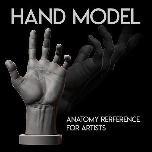 HUMAN ANATOMY HAND FOR ARTIST REFERENCE 3D print model