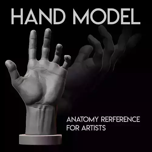 HUMAN ANATOMY HAND FOR ARTIST REFERENCE 3D print model