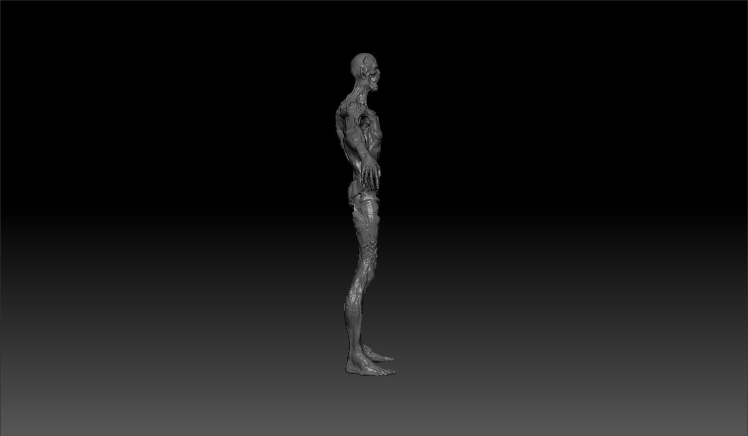 Zombie Corpse High Poly Skulpt Free 3D model_3