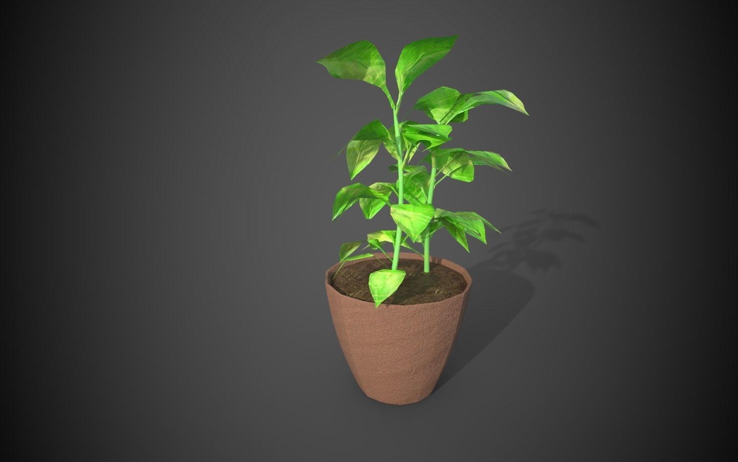Artificial indoor plant Low-poly 3D model_8