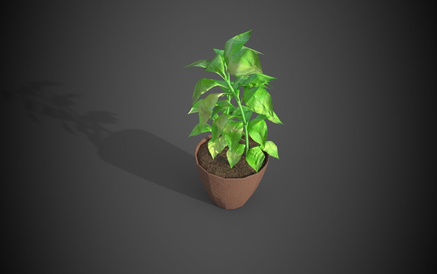 Artificial indoor plant Low-poly 3D model_7